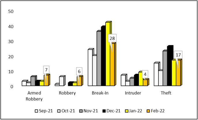 Crime Report January 2022