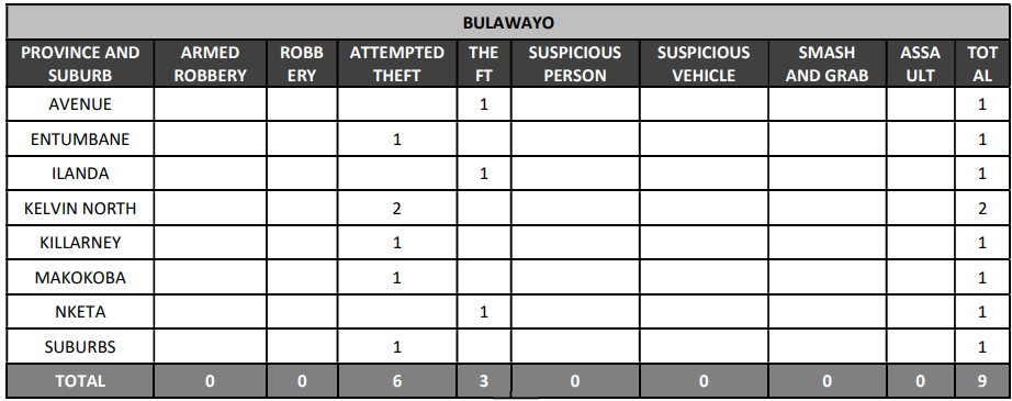 Bulawayo Crime Breakdown Report